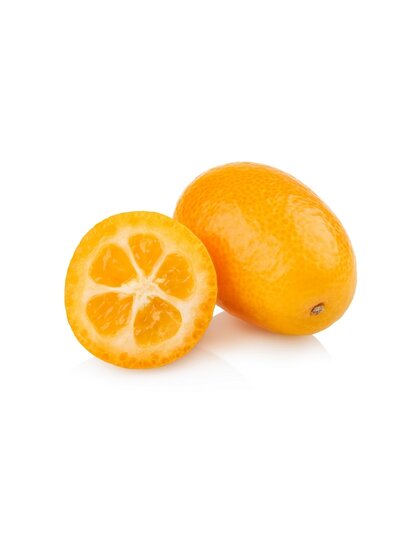 Citrus kumquat - Stamm 15-25 cm - Gesamth&ouml;he 40-50 cm - Topf &Oslash; 15 cm