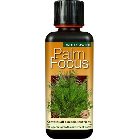 Palm focus 300 ml